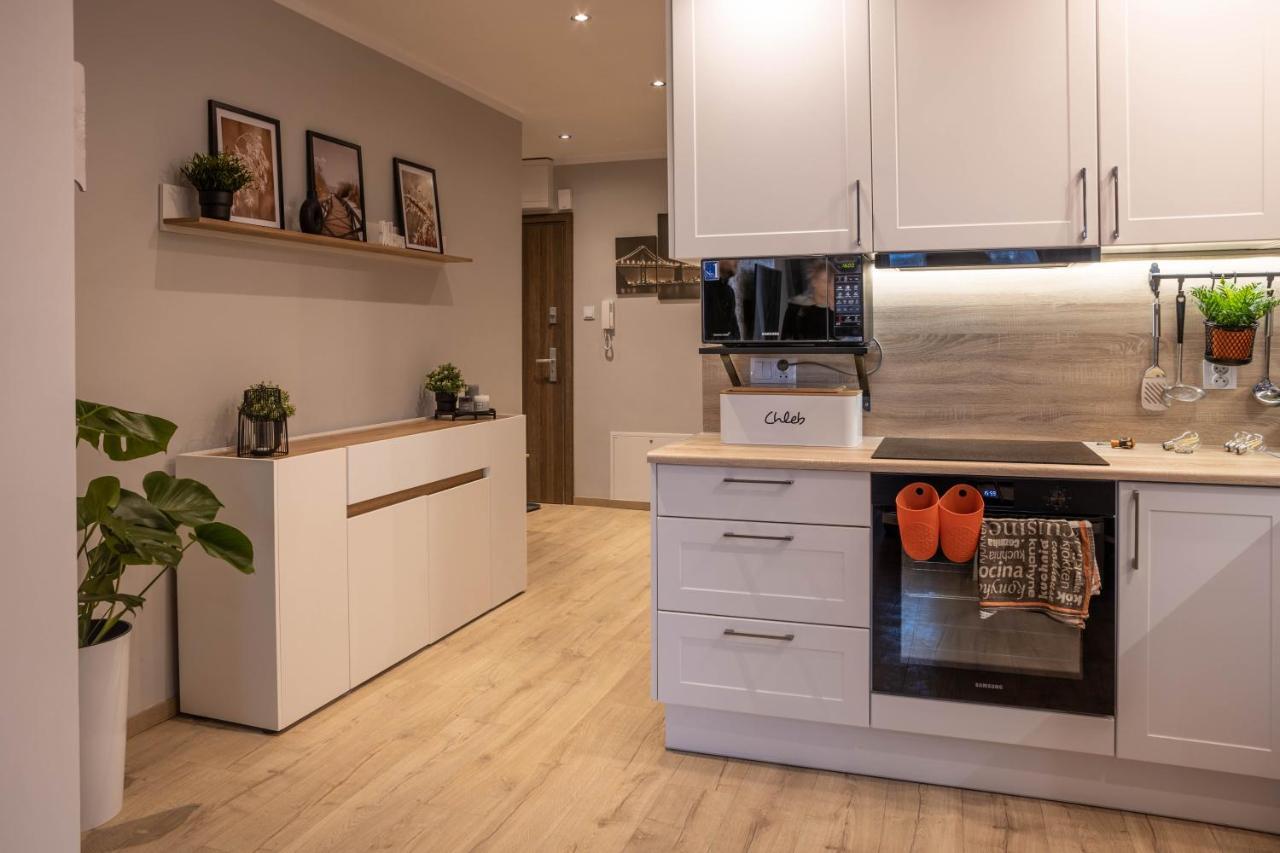 Апартаменты Apartament Rakownica Еленя-Гура Экстерьер фото